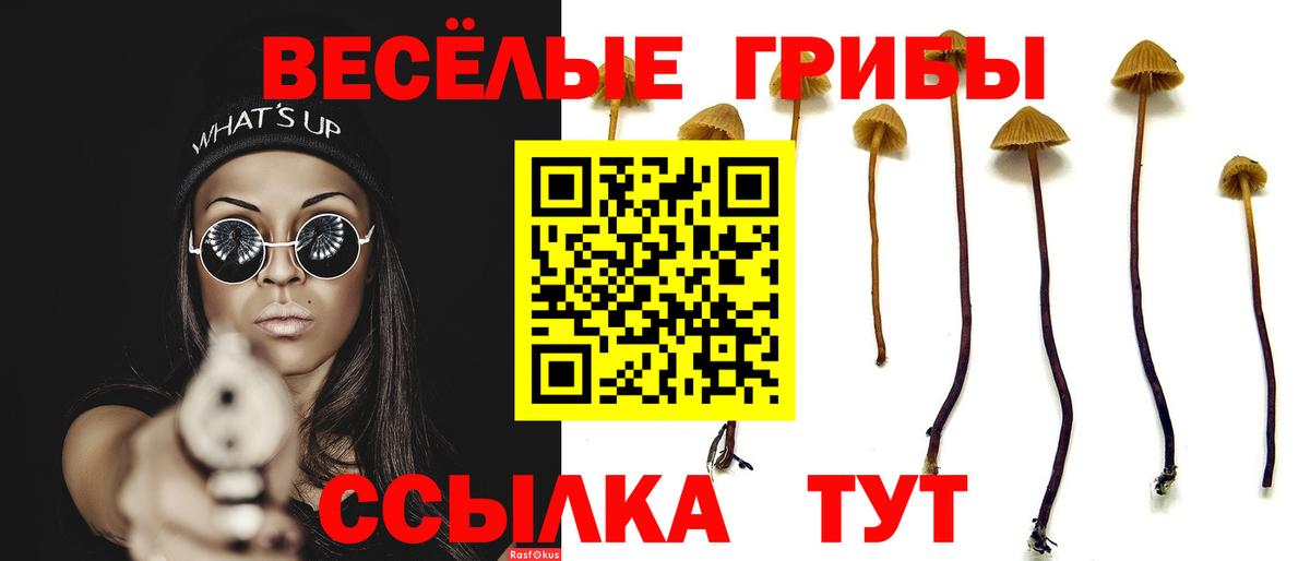 Галлюциногенные грибы GOLDEN TEACHER  Вход с VPN  Семилуки 
